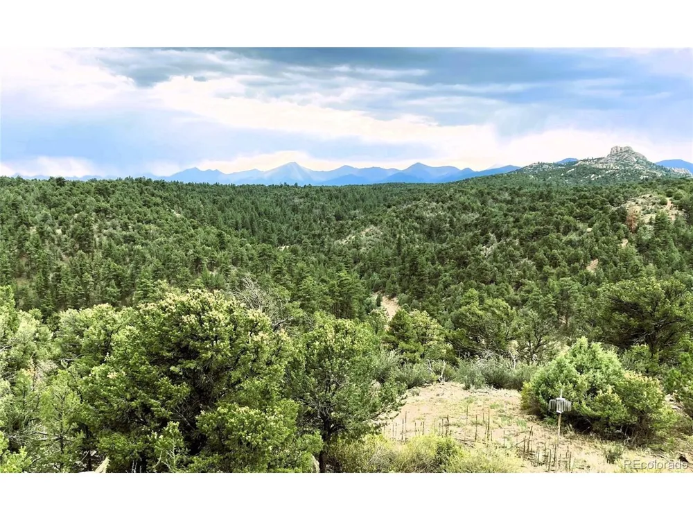 1209 Coyote Run Cotopaxi, CO 81223