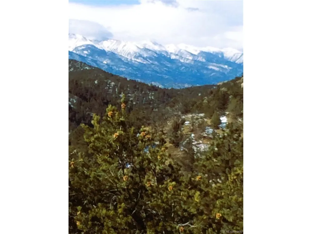 1209 Coyote Run Cotopaxi, CO 81223