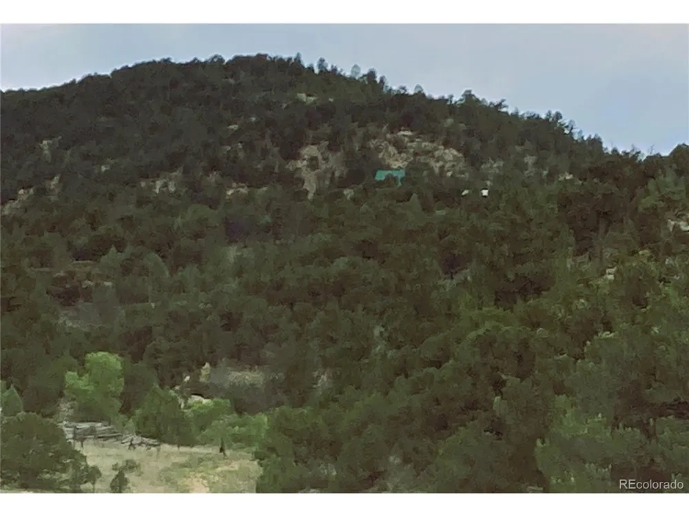 1209 Coyote Run Cotopaxi, CO 81223