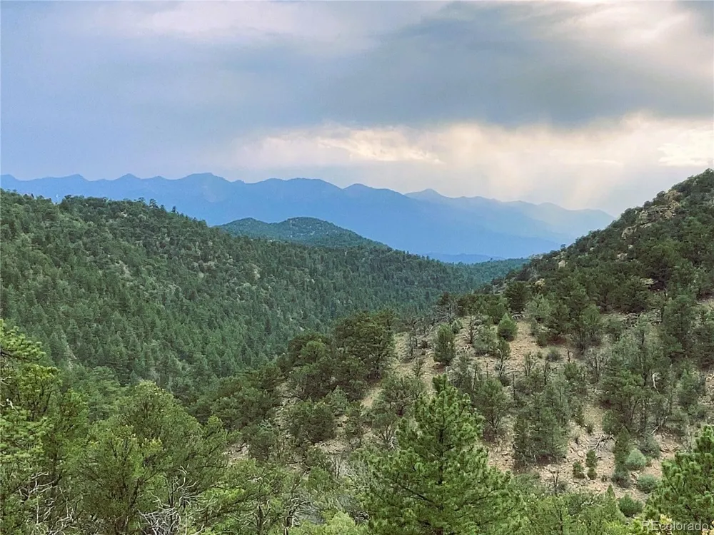 1209 Coyote Run Cotopaxi, CO 81223