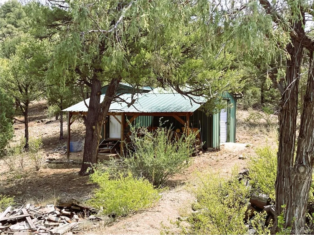 1209 Coyote Run Cotopaxi, CO 81223