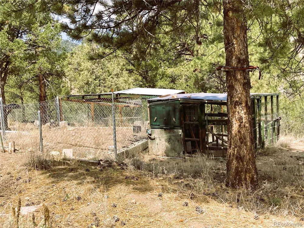 1209 Coyote Run Cotopaxi, CO 81223