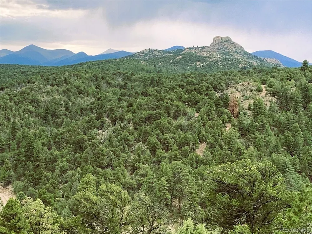 1209 Coyote Run Cotopaxi, CO 81223