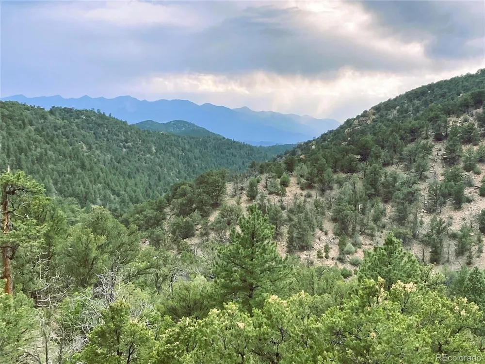 1209 Coyote Run Cotopaxi, CO 81223