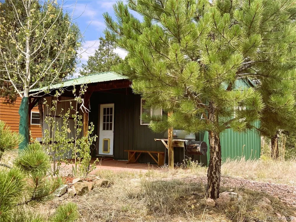1209 Coyote Run Cotopaxi, CO 81223