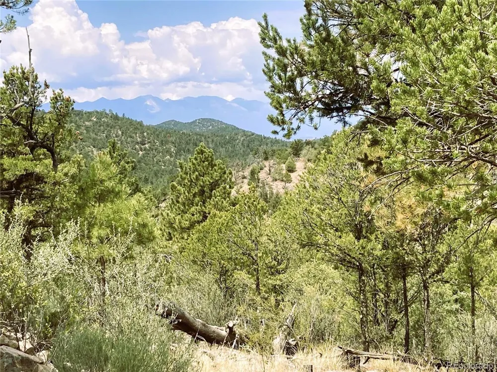 1209 Coyote Run Cotopaxi, CO 81223