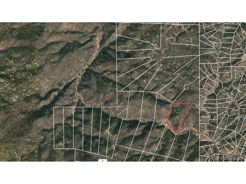 1209 Coyote Run Cotopaxi, CO 81223