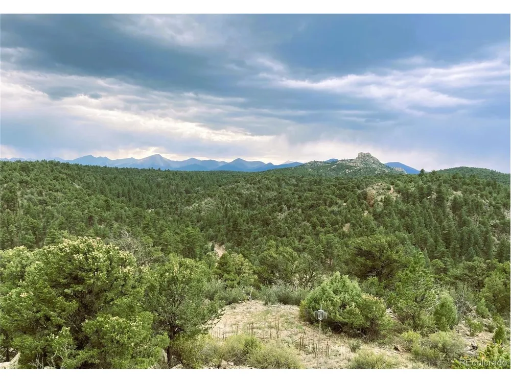 1209 Coyote Run Cotopaxi, CO 81223