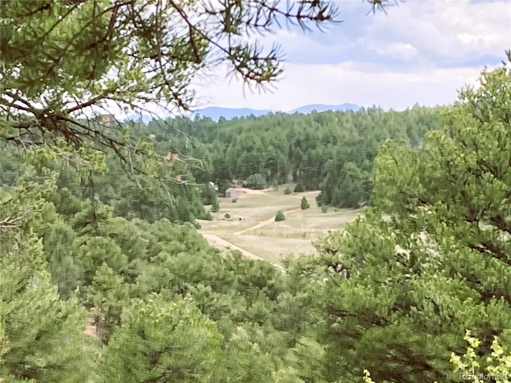 1209 Coyote Run Cotopaxi, CO 81223