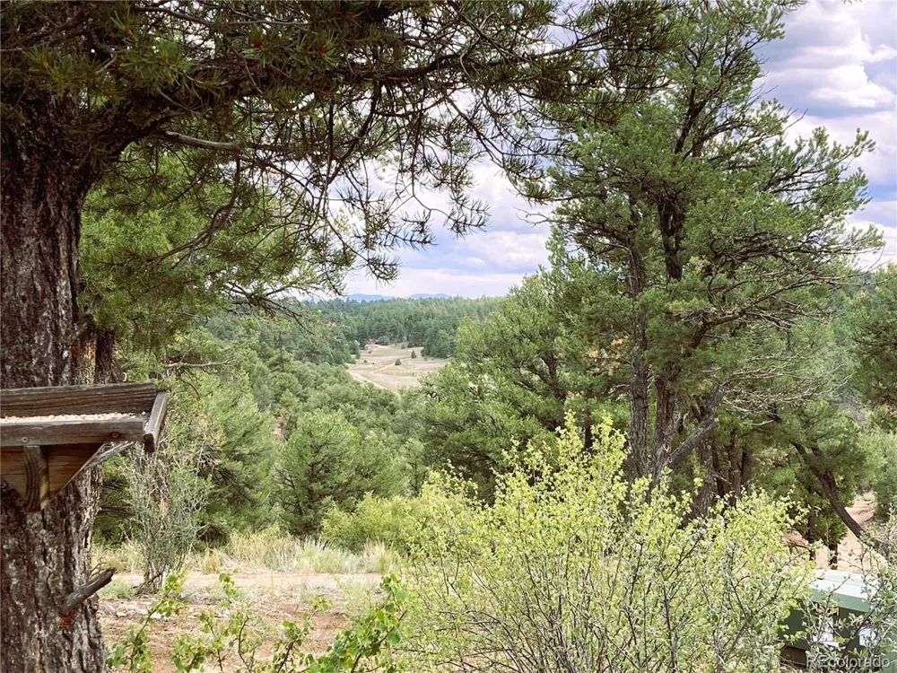 1209 Coyote Run Cotopaxi, CO 81223