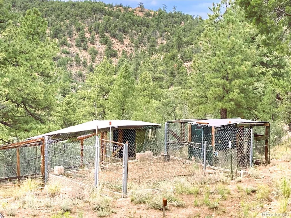 1209 Coyote Run Cotopaxi, CO 81223