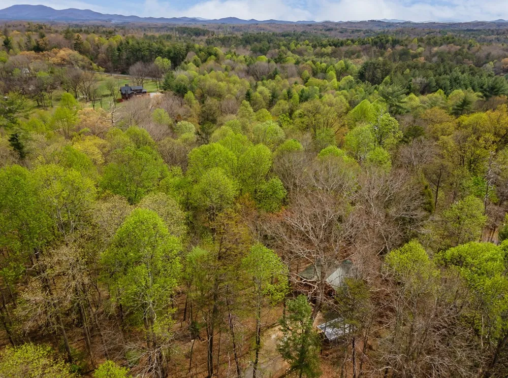 159 Pack Creek Road Blue Ridge, GA 30513