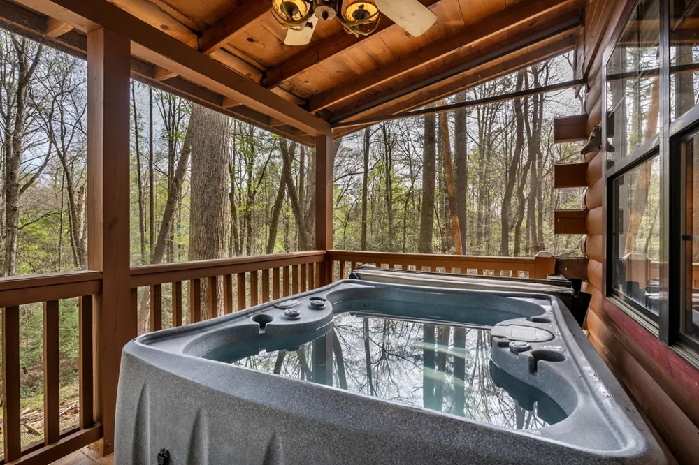 159 Pack Creek Road Blue Ridge, GA 30513