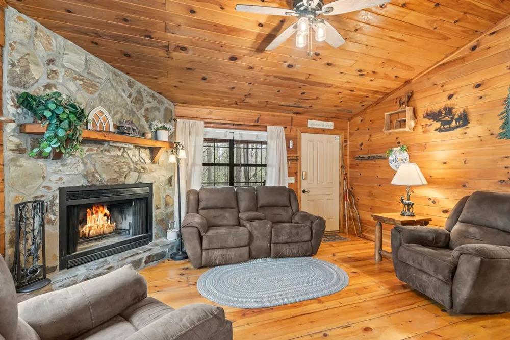 159 Pack Creek Road Blue Ridge, GA 30513