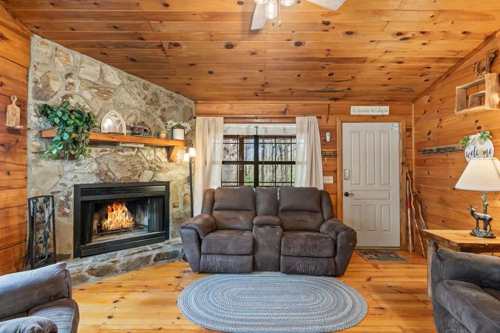 159 Pack Creek Road Blue Ridge, GA 30513