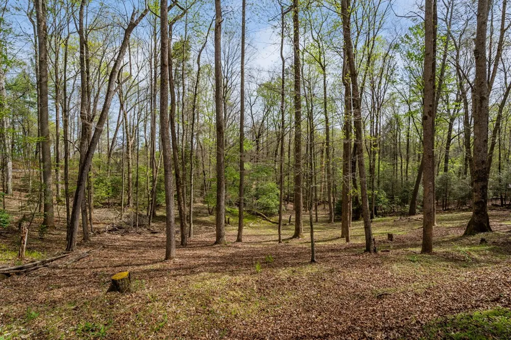 159 Pack Creek Road Blue Ridge, GA 30513