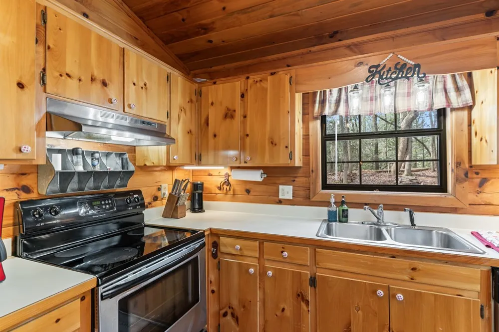 159 Pack Creek Road Blue Ridge, GA 30513