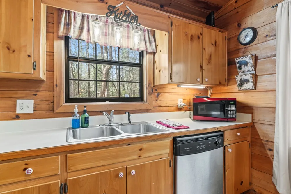 159 Pack Creek Road Blue Ridge, GA 30513