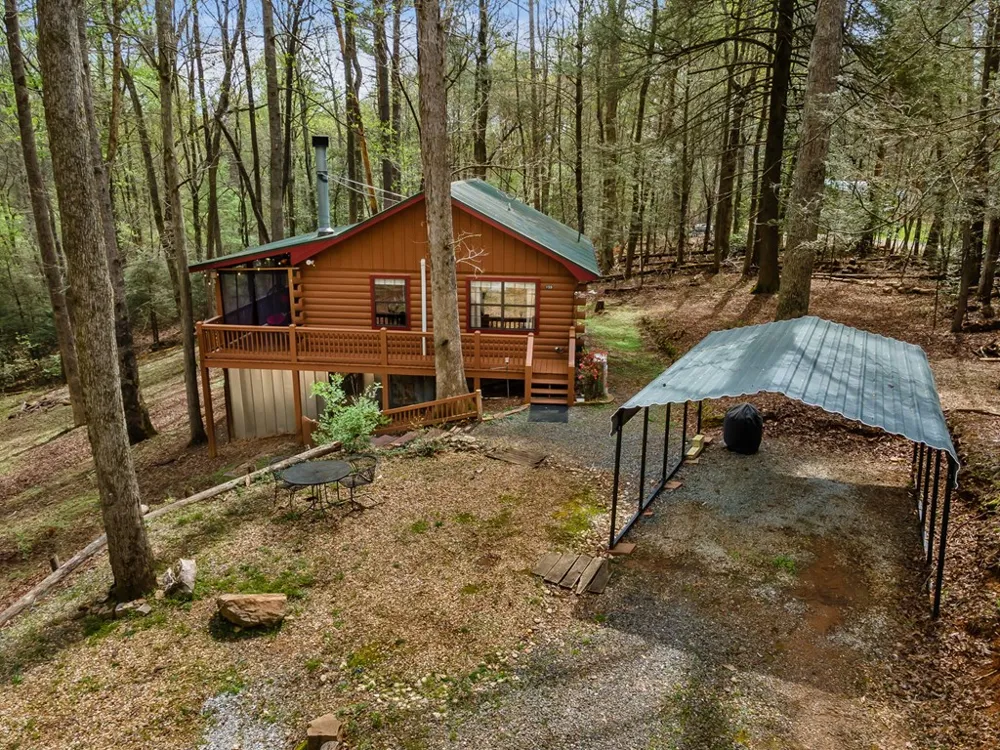 159 Pack Creek Road Blue Ridge, GA 30513