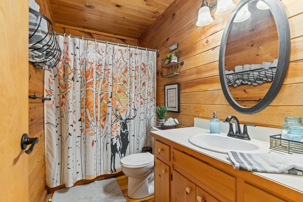 159 Pack Creek Road Blue Ridge, GA 30513