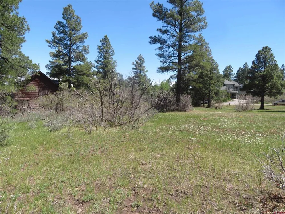 393 Martinez Place Pagosa Springs, CO 81147