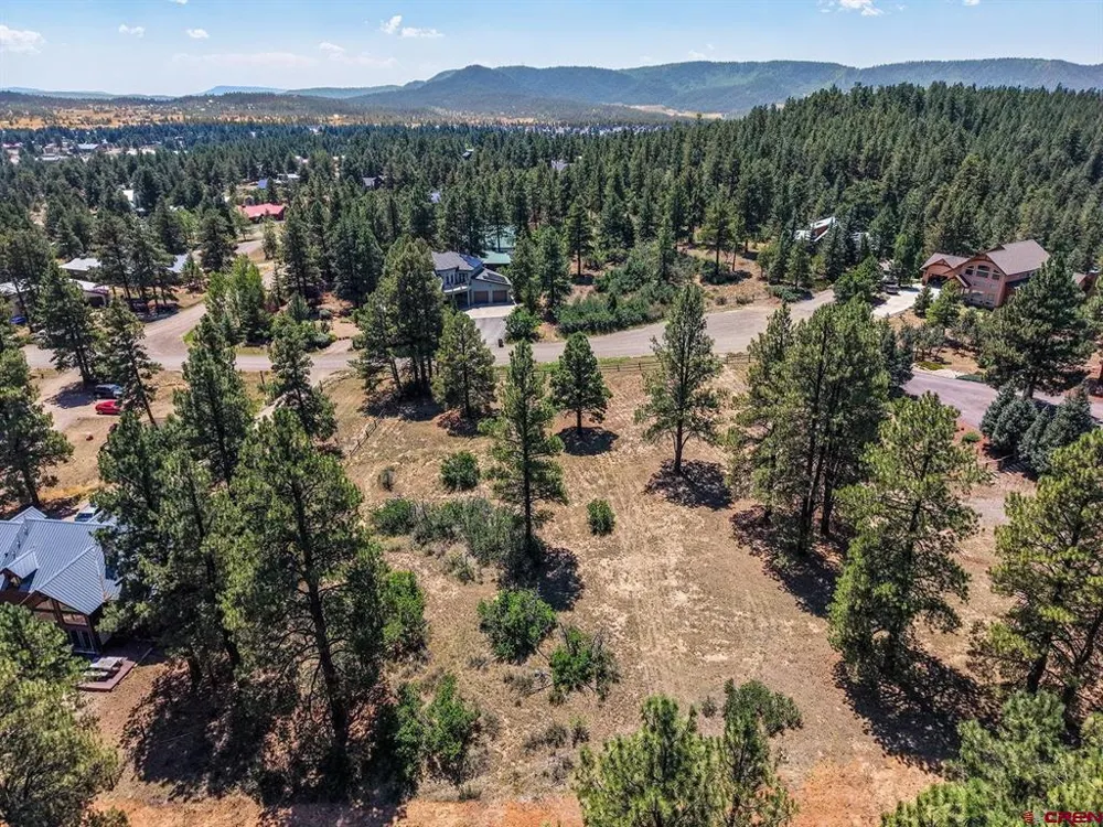 393 Martinez Place Pagosa Springs, CO 81147