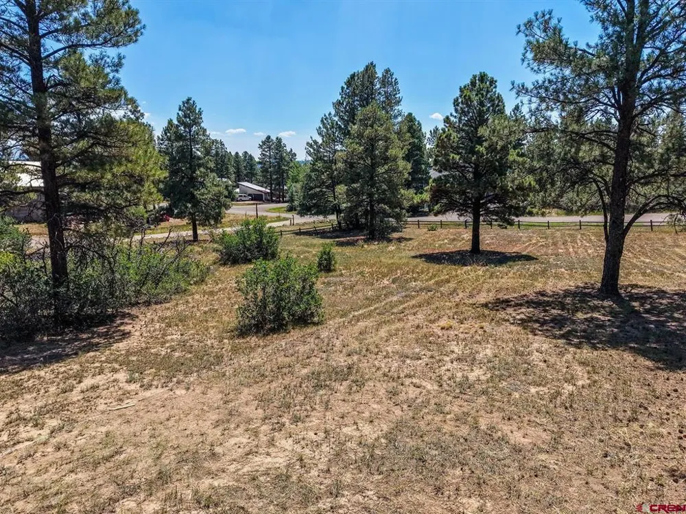 393 Martinez Place Pagosa Springs, CO 81147
