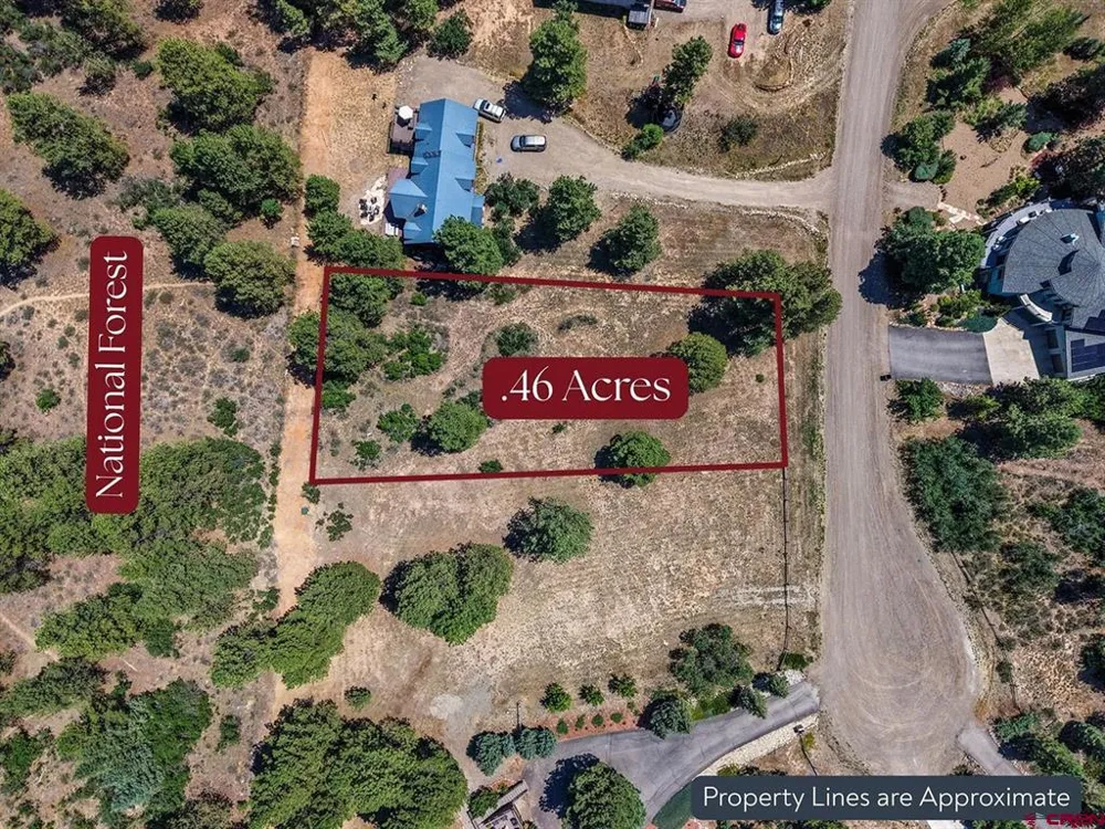 393 Martinez Place Pagosa Springs, CO 81147