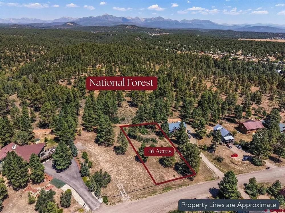 393 Martinez Place Pagosa Springs, CO 81147