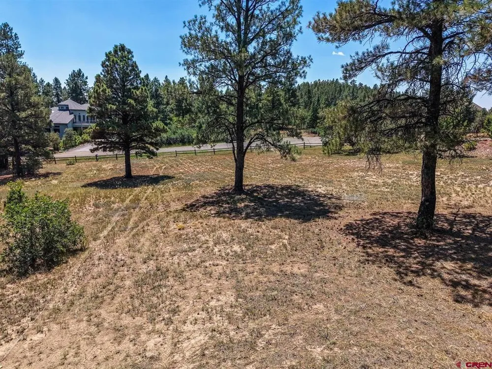 393 Martinez Place Pagosa Springs, CO 81147