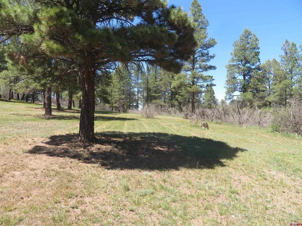 393 Martinez Place Pagosa Springs, CO 81147