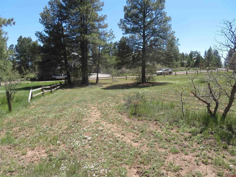 393 Martinez Place Pagosa Springs, CO 81147