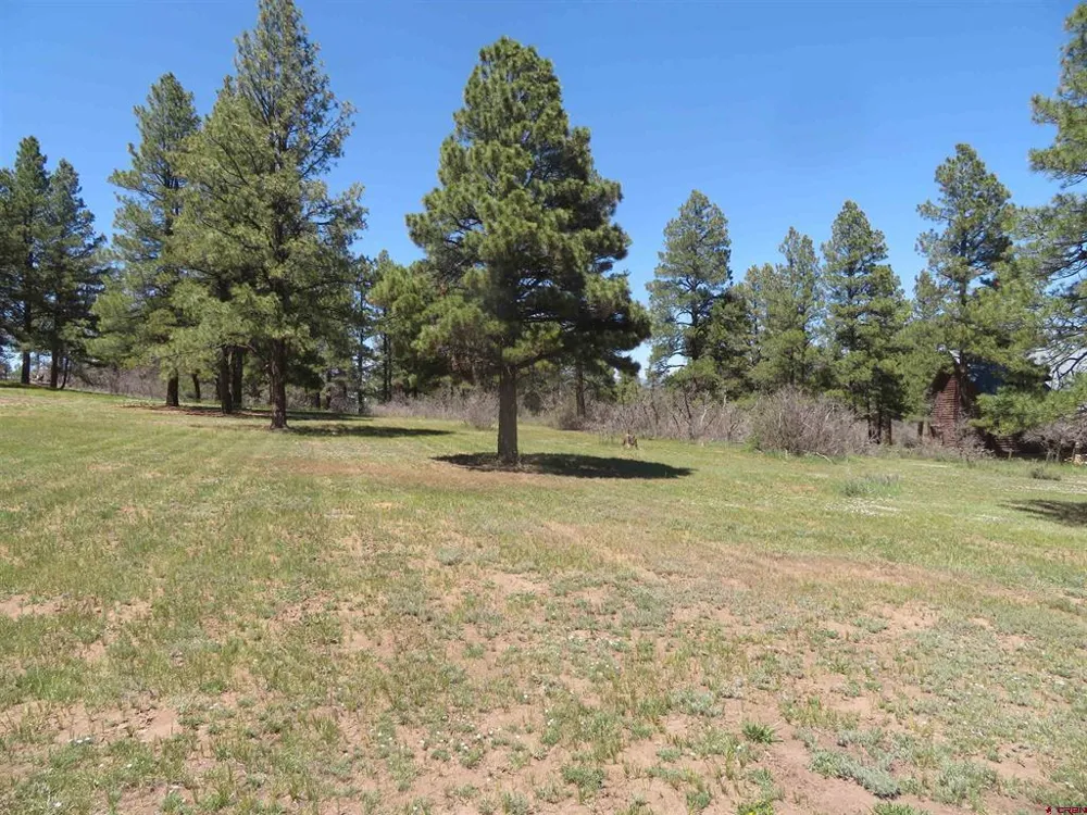 393 Martinez Place Pagosa Springs, CO 81147
