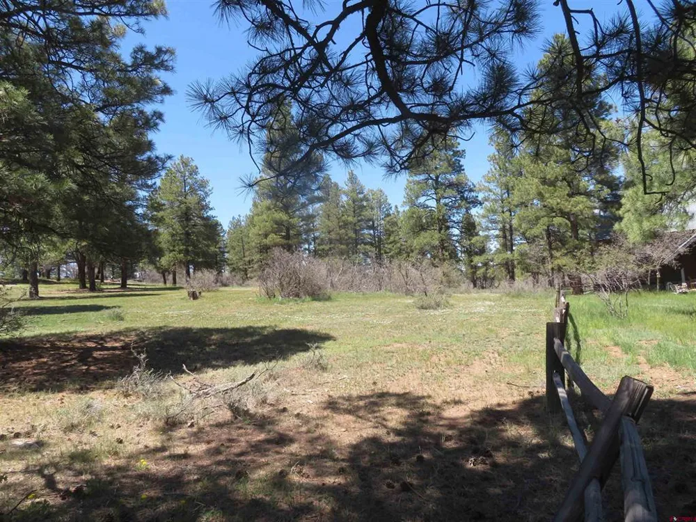 393 Martinez Place Pagosa Springs, CO 81147