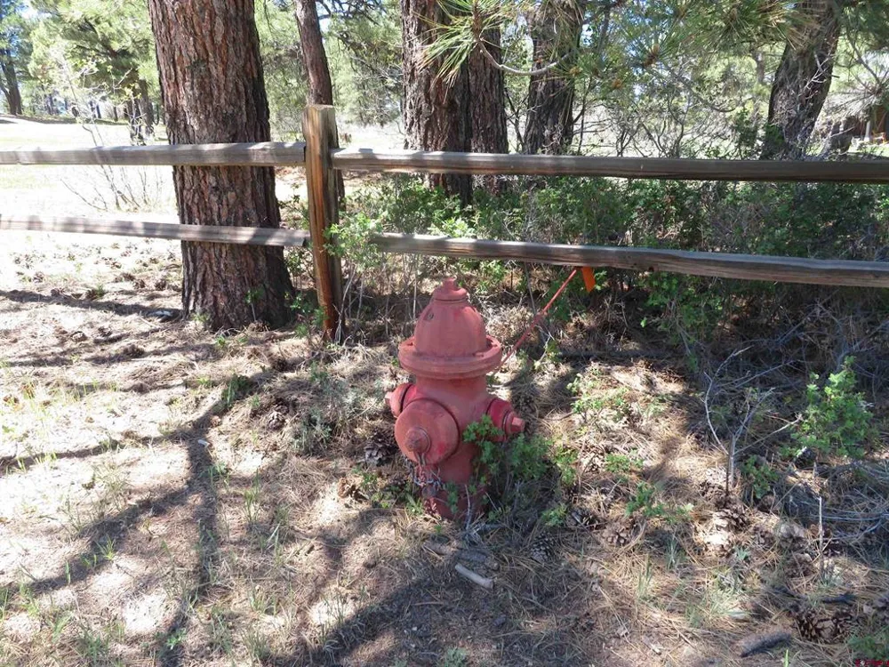 393 Martinez Place Pagosa Springs, CO 81147
