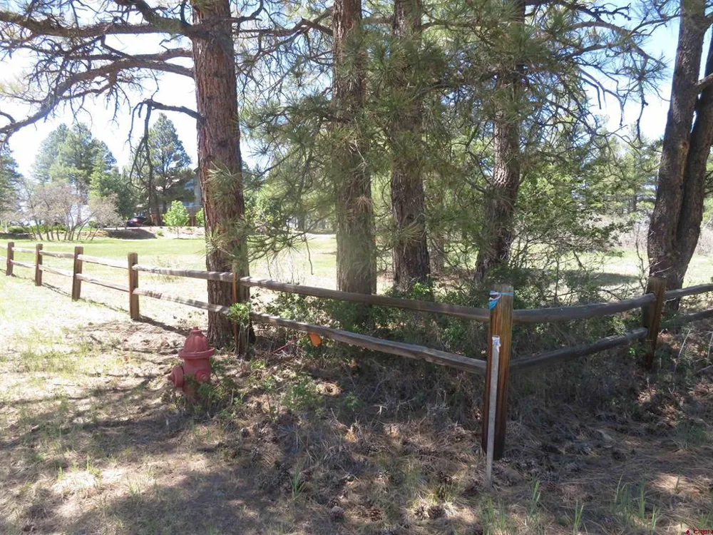 393 Martinez Place Pagosa Springs, CO 81147