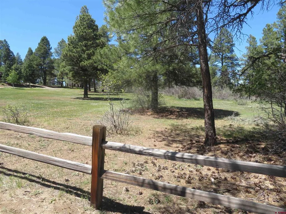 393 Martinez Place Pagosa Springs, CO 81147