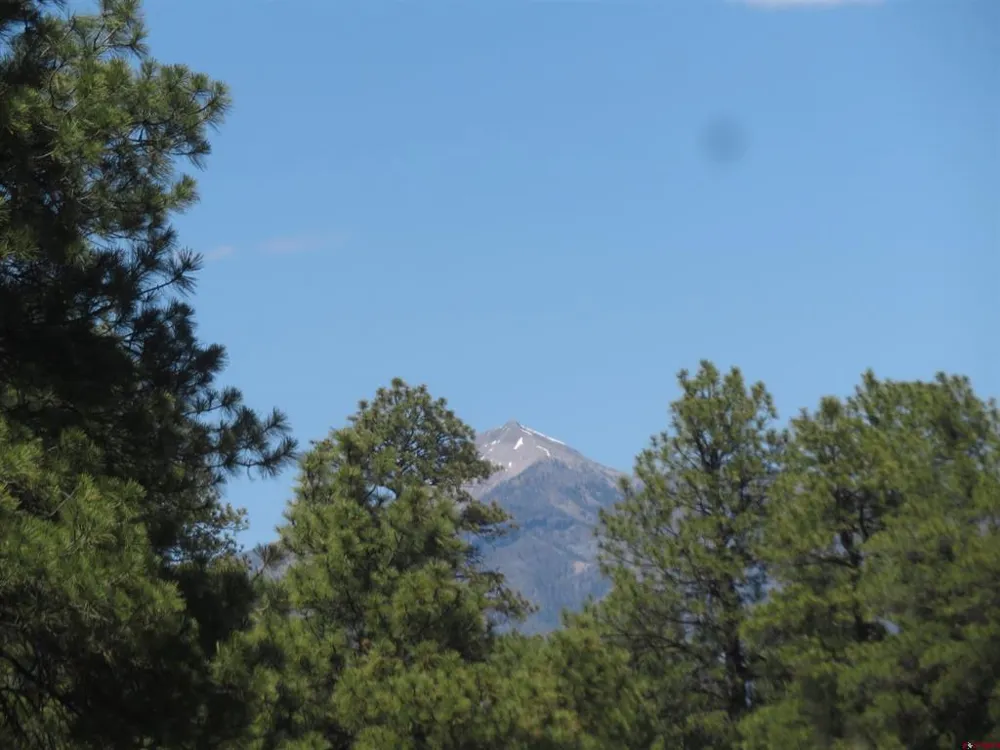 393 Martinez Place Pagosa Springs, CO 81147