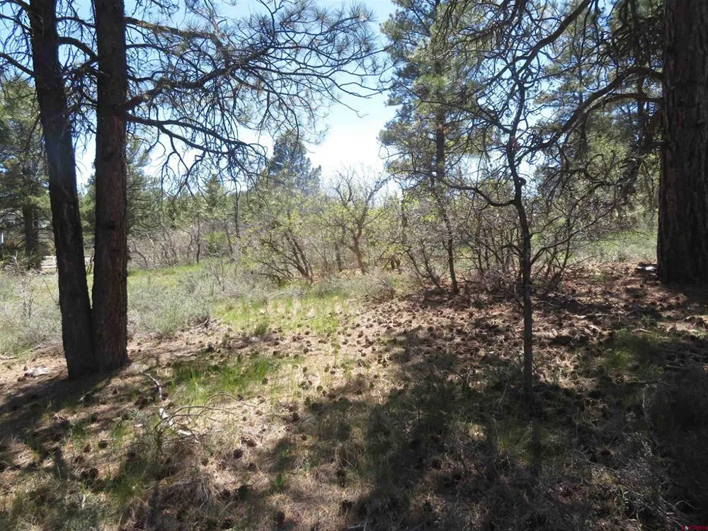 393 Martinez Place Pagosa Springs, CO 81147