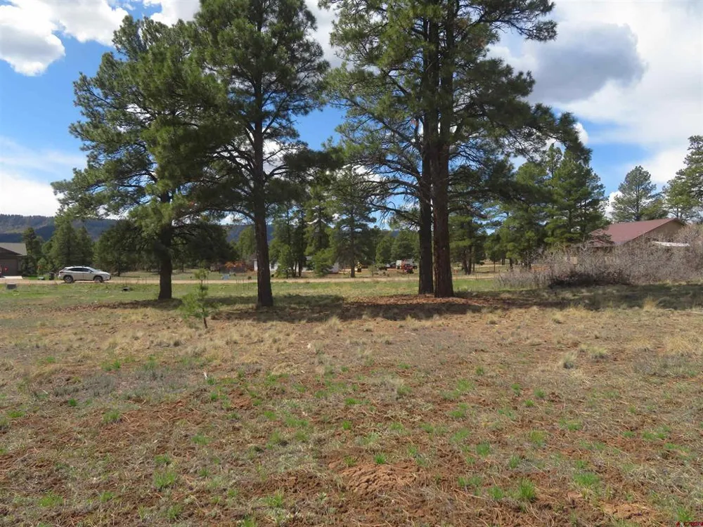 317 Domicile Circle Pagosa Springs, CO 81147