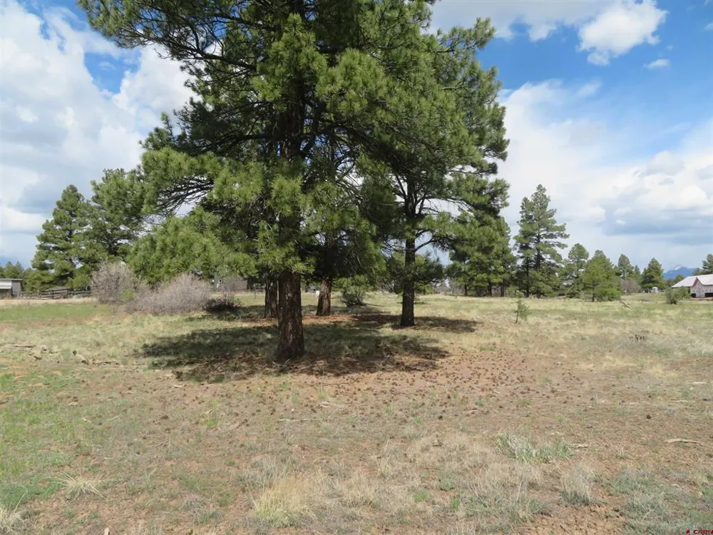 317 Domicile Circle Pagosa Springs, CO 81147