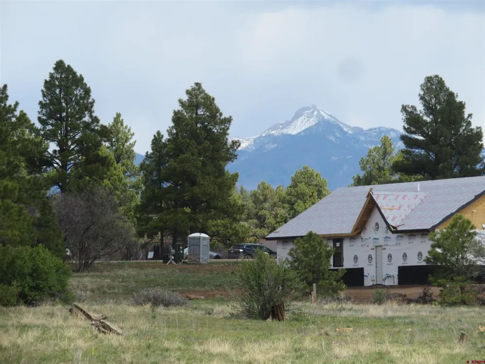 317 Domicile Circle Pagosa Springs, CO 81147