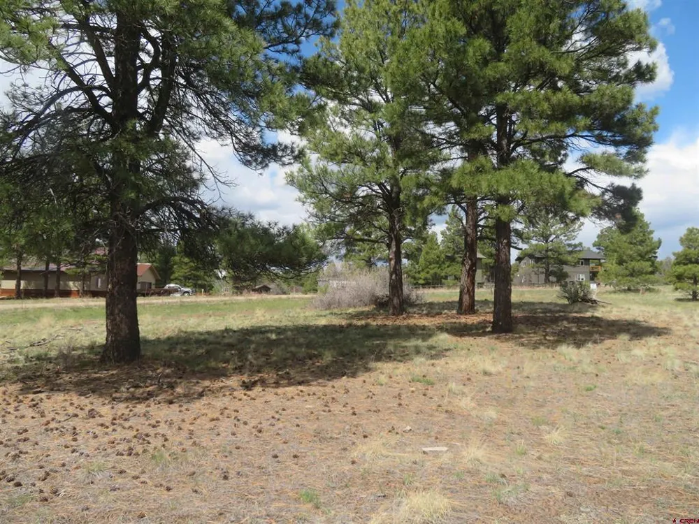 317 Domicile Circle Pagosa Springs, CO 81147