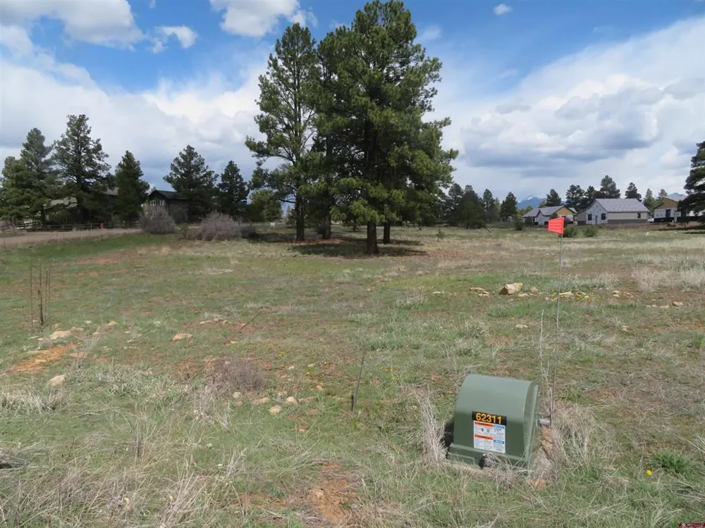 317 Domicile Circle Pagosa Springs, CO 81147