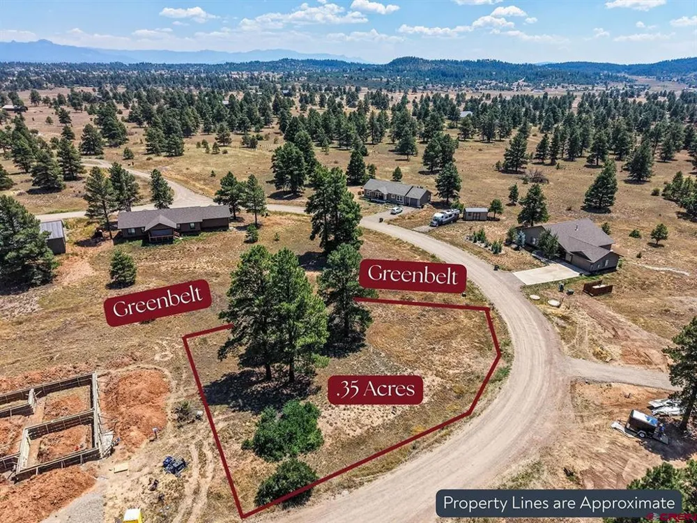 317 Domicile Circle Pagosa Springs, CO 81147