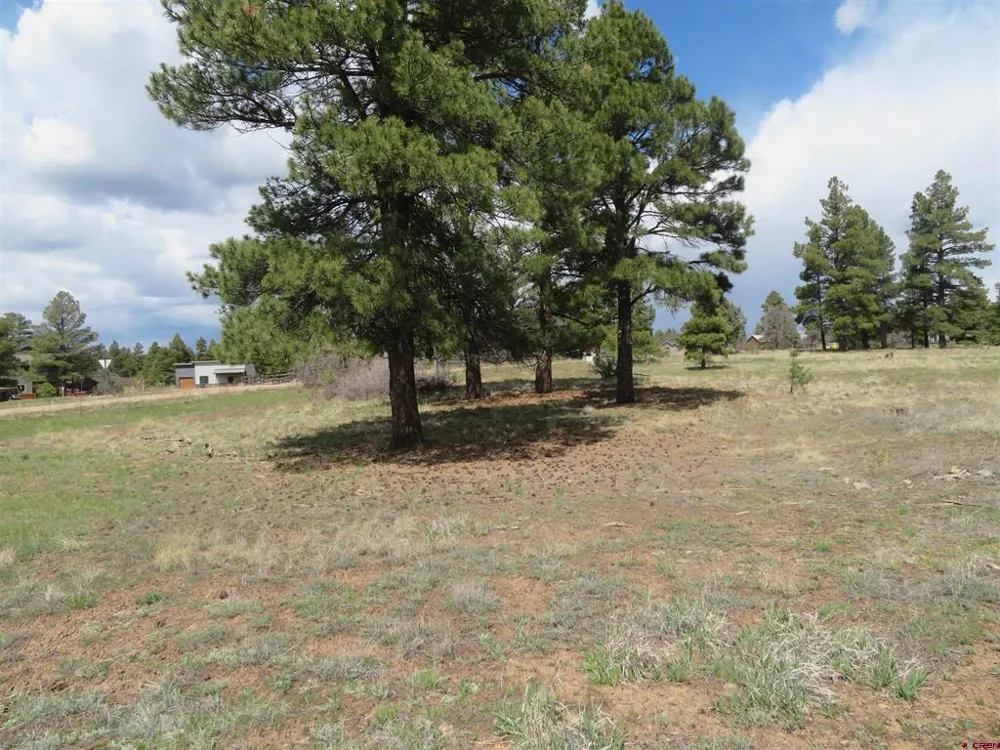 317 Domicile Circle Pagosa Springs, CO 81147