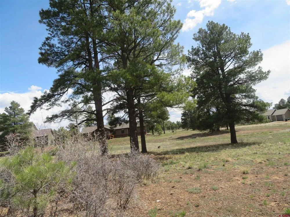 317 Domicile Circle Pagosa Springs, CO 81147