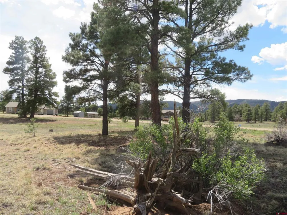 317 Domicile Circle Pagosa Springs, CO 81147