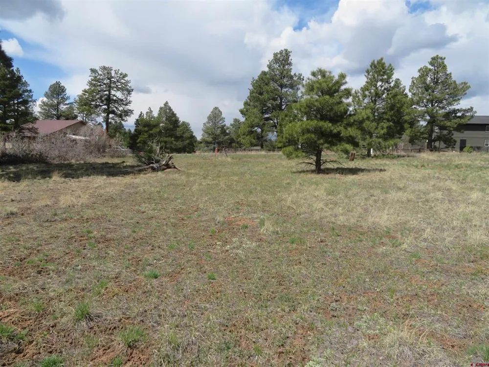 317 Domicile Circle Pagosa Springs, CO 81147