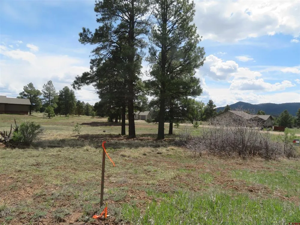 317 Domicile Circle Pagosa Springs, CO 81147